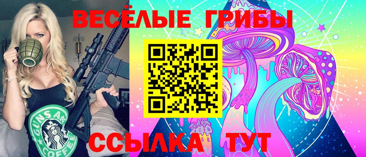 Павловский Посад  Псилоцибиновые грибы GOLDEN TEACHER  Вход с VPN 